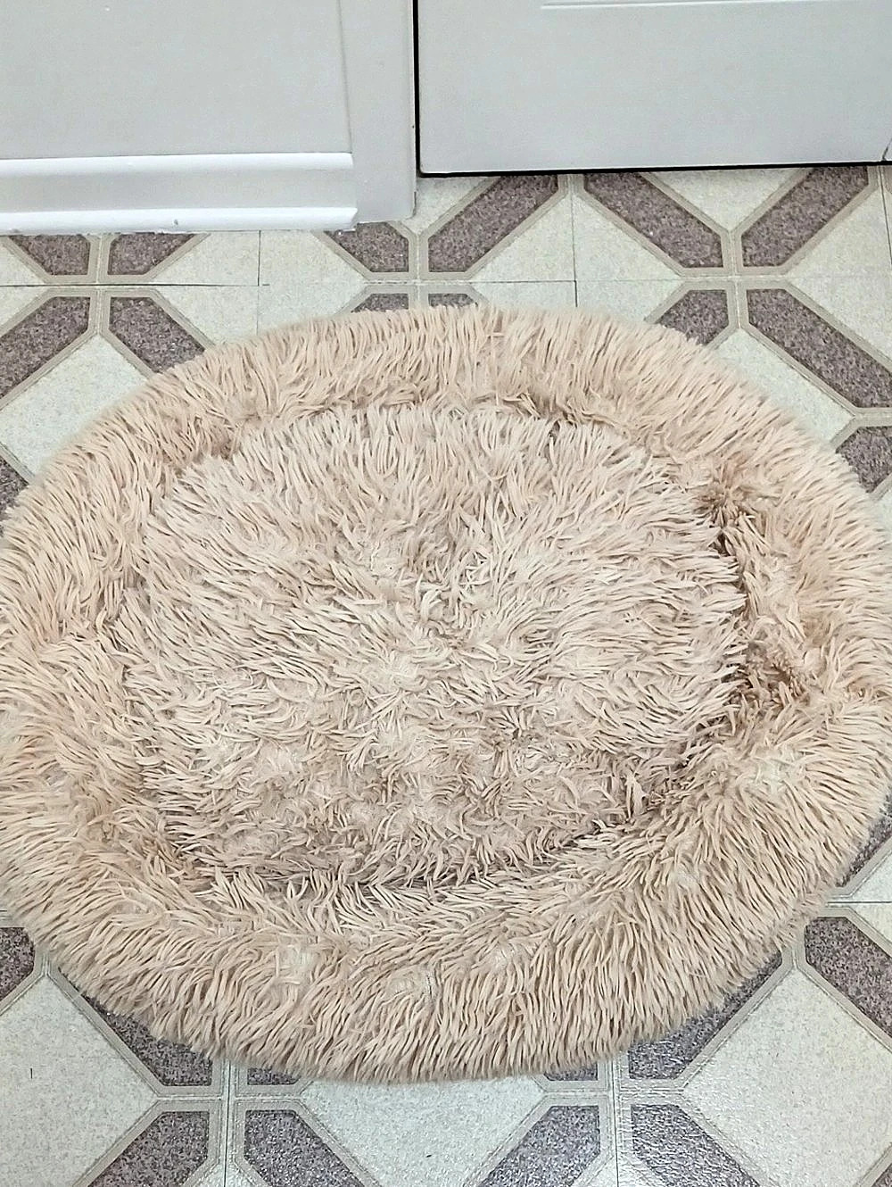 Bad 🛌 For The Dog 🐕